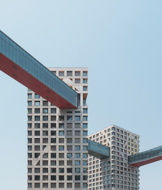 Infrastructure Planning for Sustainable Growth